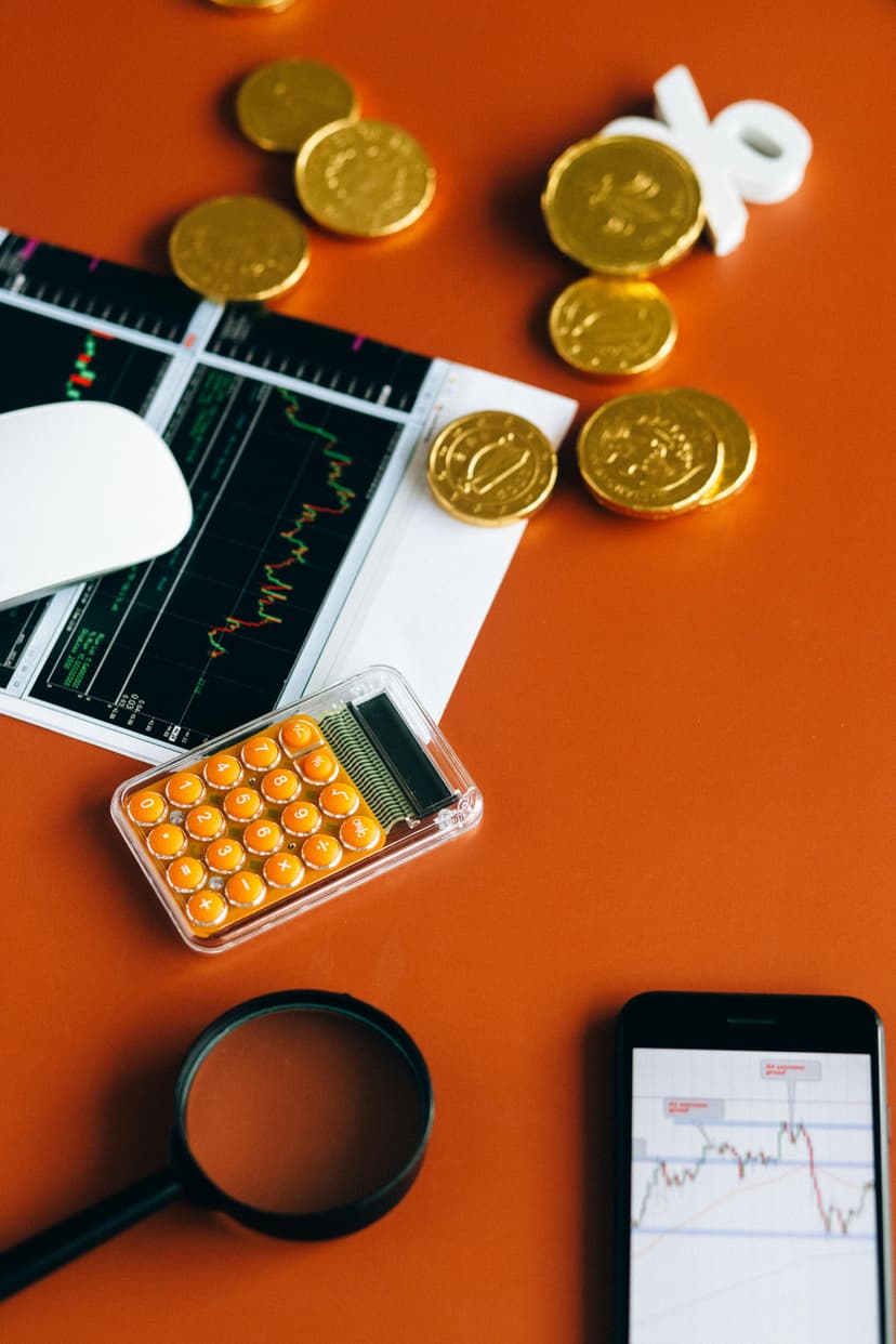 Financial Health Assessment Report